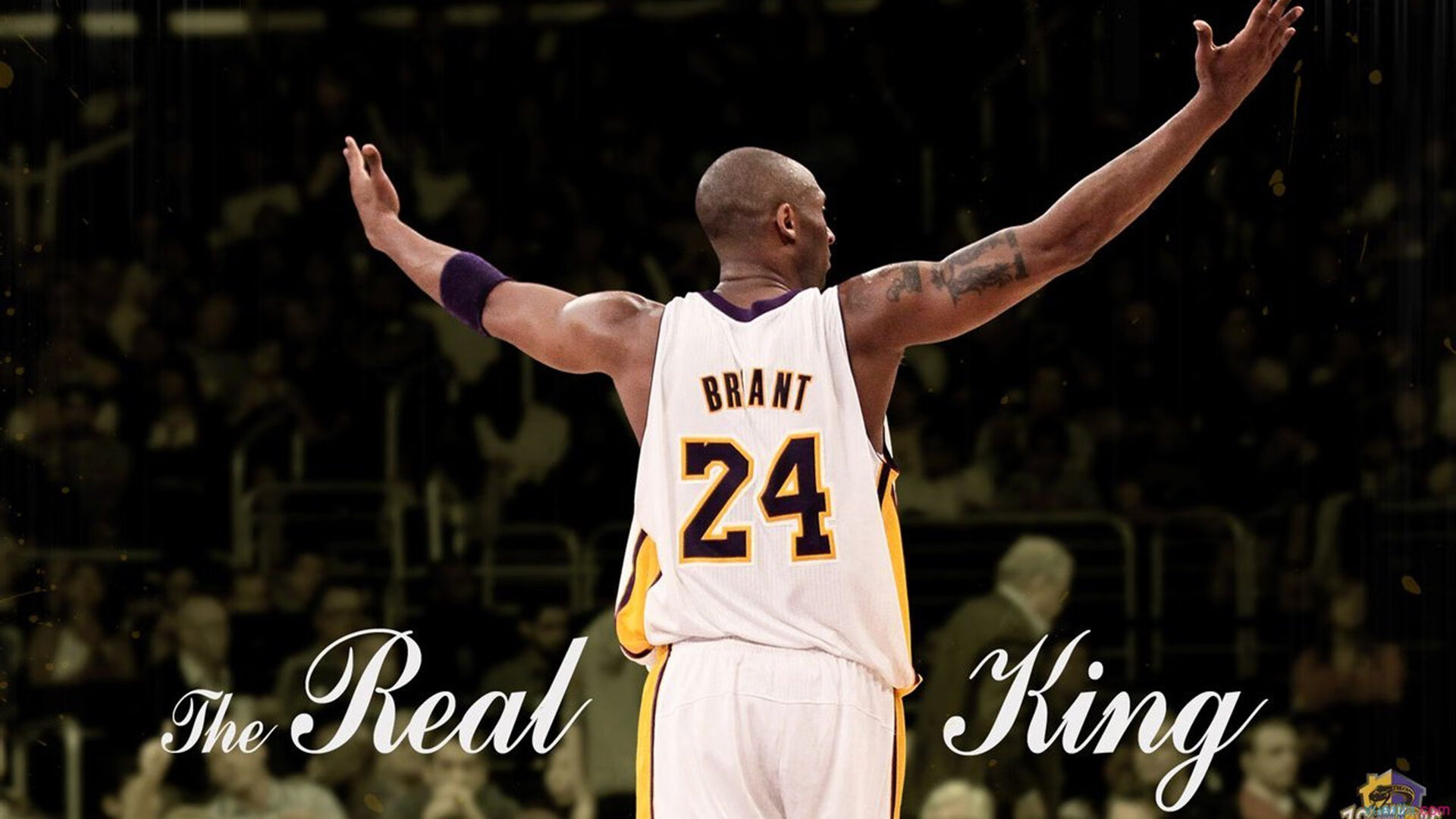 体育赛事年度报告